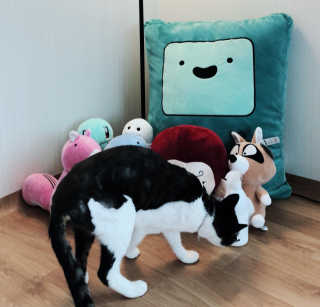 송쫑쫑님이 올린 리뷰 사진 3