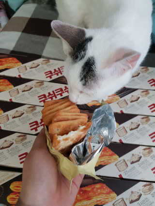 소뇨님이 올린 리뷰 사진 3