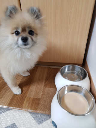 레고사줘님이 올린 리뷰 사진 3