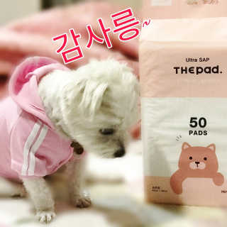 라온시연님이 올린 리뷰 사진 1