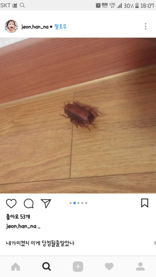기어가는바퀴벌레 + 리얼바퀴벌레 리뷰 사진