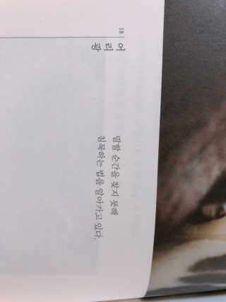 예댱잇님이 올린 리뷰 사진 3