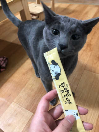 [펫토리아] 강아지,고양이겸용 짜먹는 한입뚝딱 — 5점을 준 리뷰어가 2019년 1월 올린 사용 사진