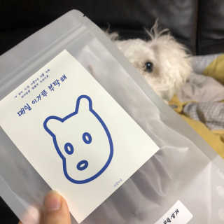 [어글어글] 반려견 친환경 간식 9종 세트 — 4점을 준 리뷰어가 2020년 3월 올린 사용 사진