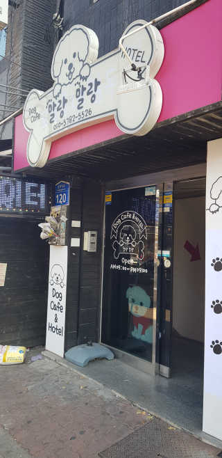 공팔리터님이 올린 리뷰 사진 2