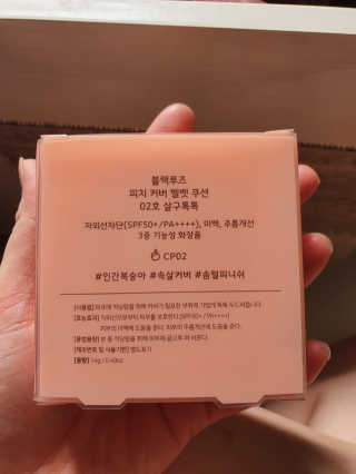 [블랙루즈] 피치 커버 벨벳 쿠션 2종 중 택1 — 5점을 준 리뷰어가 2019년 10월 올린 사용 사진