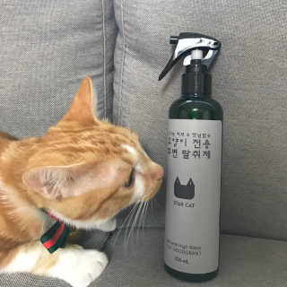 핸님님이 올린 리뷰 사진 1