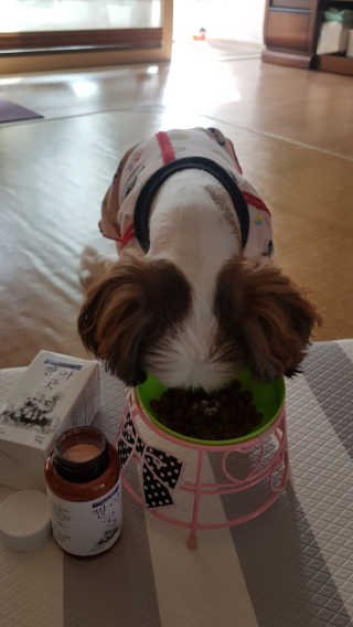 신화영님이 올린 리뷰 사진 3