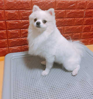 김하나님이 올린 리뷰 사진 1