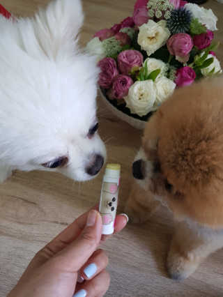 이엘리사님이 올린 리뷰 사진 4
