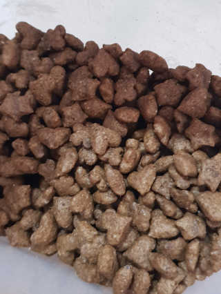그린펫푸드 인섹트캣 글루텐프리（1.2KG） — 5점을 준 리뷰어가 2019년 7월 올린 사용 사진