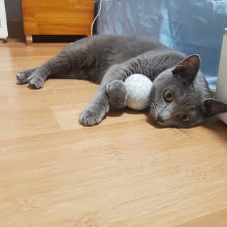 쿠로님이 올린 리뷰 사진 3
