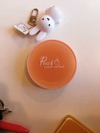 [블랙루즈] 피치 커버 벨벳 쿠션 2종 중 택1 — 5점을 준 리뷰어가 2019년 9월 올린 사용 사진