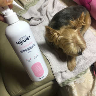 데닌슈님이 올린 리뷰 사진 1