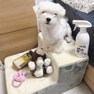 정혜리님이 올린 리뷰 사진 3
