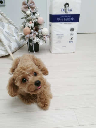 라블리님이 올린 리뷰 사진 3