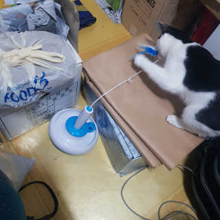 동그라미님이 올린 리뷰 사진 2