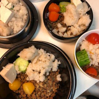 [펫토리아] 맛도 영양도 BEST 한끼뚝딱 강아지 사료 — 4점을 준 리뷰어가 2018년 12월 올린 사용 사진