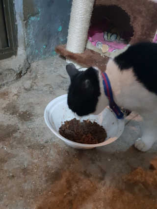 iamdodo님이 올린 리뷰 사진 2