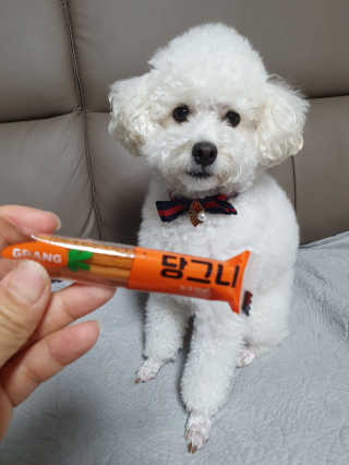 호두맘님이 올린 리뷰 사진 4