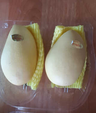 미찌고님이 올린 리뷰 사진 2
