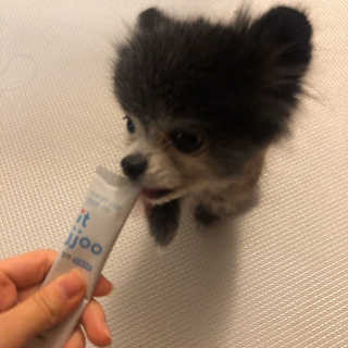 송봄이아님이 올린 리뷰 사진 1