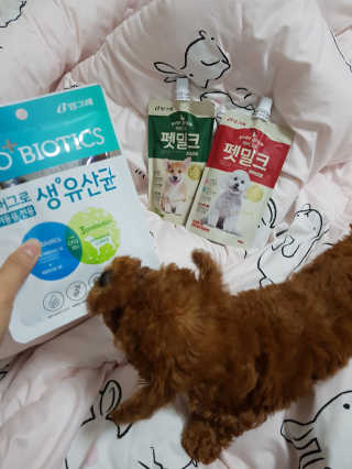 [빙그레] 에버그로 생유산균 1봉（10포입）+펫밀크2팩 — 3점을 준 리뷰어가 2019년 5월 올린 사용 사진
