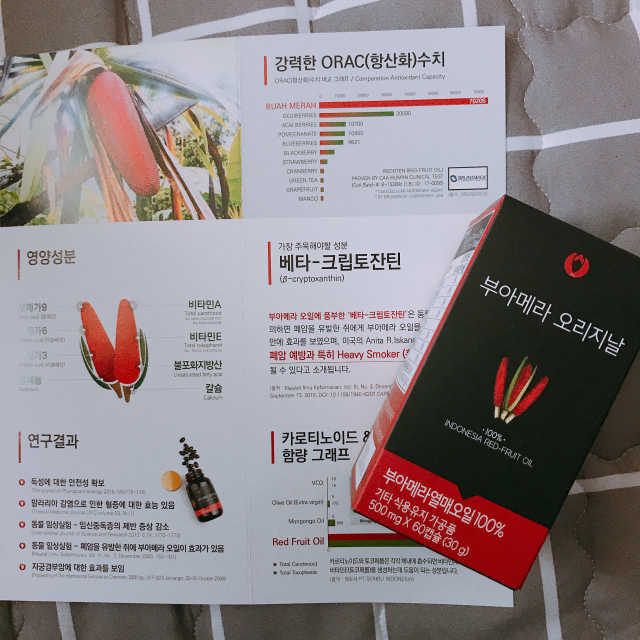 아포텍 부아메라 오리지날 리뷰 사진
