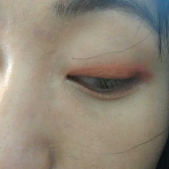 헤이미쉬 데일리즘 아이 팔레트 코랄 에세이 리뷰 사진