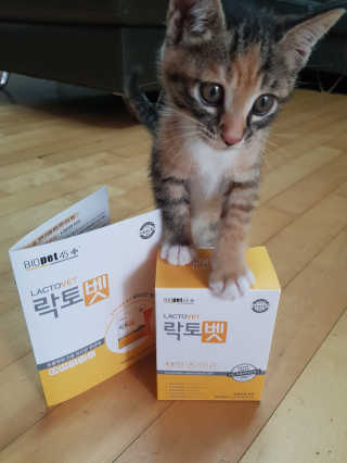 gajete님이 올린 리뷰 사진 2