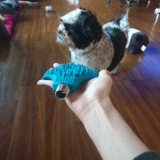 가횽님이 올린 리뷰 사진 3