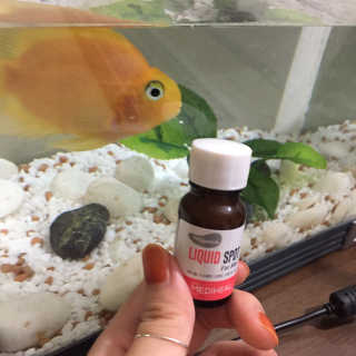 신경아님이 올린 리뷰 사진 1