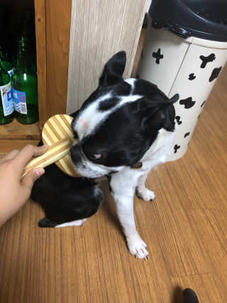 오수빈님이 올린 리뷰 사진 2