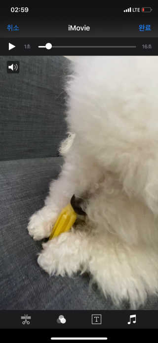 쏨님이 올린 리뷰 사진 3