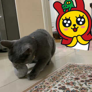 조아조아님이 올린 리뷰 사진 1