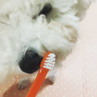 윤동규님이 올린 리뷰 사진 1