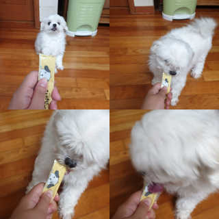 [펫토리아]짜먹는 한입뚝딱 강아지.고양이 마약간식 — 5점을 준 리뷰어가 2019년 7월 올린 사용 사진