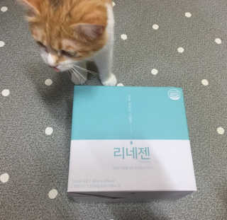 쿠키순대맘님이 올린 리뷰 사진 1