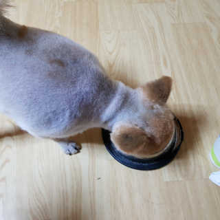 미디ㅣ지님이 올린 리뷰 사진 3