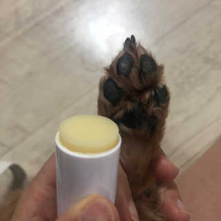 밤비님이 올린 리뷰 사진 3