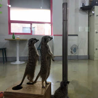 꾸엥님이 올린 리뷰 사진 1