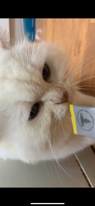 줴줴님이 올린 리뷰 사진 2