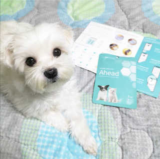 alllove님이 올린 리뷰 사진 1