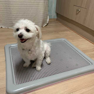 규빈띵쏘님이 올린 리뷰 사진 2