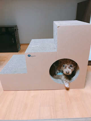 수영님이 올린 리뷰 사진 1