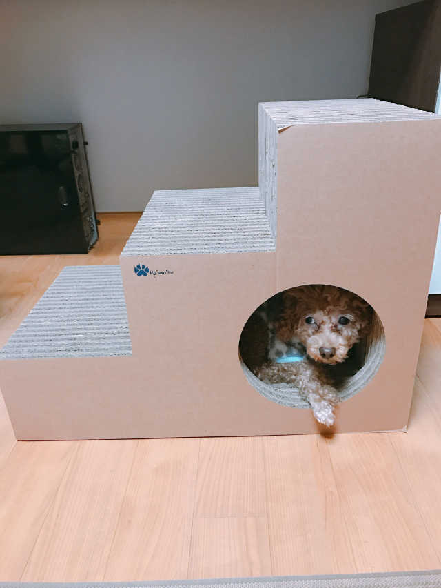 마이스윗파우 스태퍼 스크레쳐 리뷰 사진