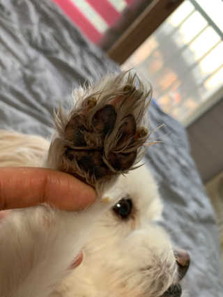 어거스트비님이 올린 리뷰 사진 4