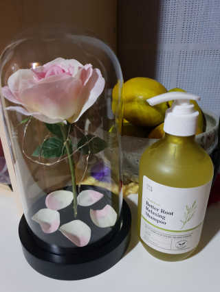 달리프 클로렐라 베러 루트 릴렉싱 샴푸 500ml — 4.83점을 준 리뷰어가 2018년 12월 올린 사용 사진