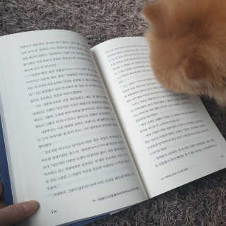 🌷 킴블리 🌷님이 올린 리뷰 사진 3