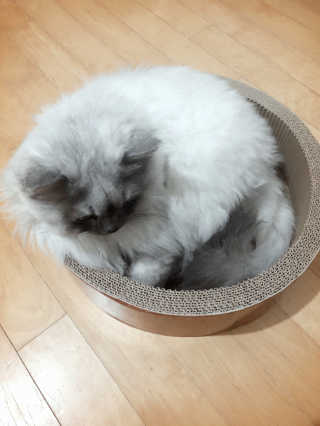 미미님이 올린 리뷰 사진 1